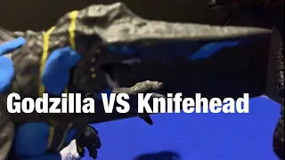 GODZILLA VS KNIFEHEAD!!!!!     Epic Battle | GodzillaJJ607