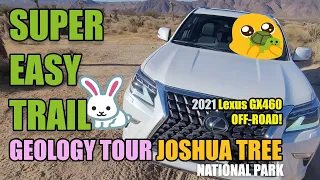 Geology Tour Off-Road | Joshua Tree National Park Lexus GX460 (2021)