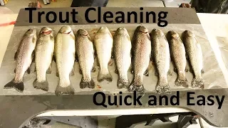 How to clean a Trout (Quick and Easy)