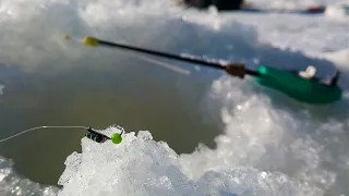 ВЕСЬ ХОРОШИЙ окунь на ГЛУБИНЕ! Рыбалка на безмотылку! Ловля зимой в 2022