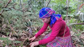 The 17-year-old girl went into the forest to dig bamboo shoots to sell at the market