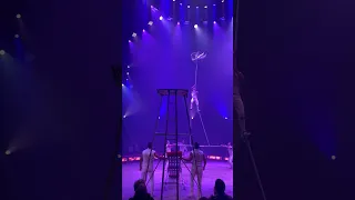 Circus Knie - Nyon 2023
