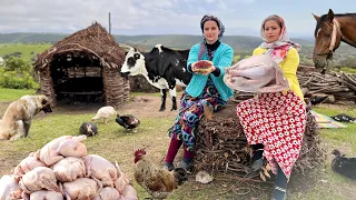 Nomadic Life in Iran! Cooking Chickens and Stuffed Turkey In Scenic Mountains
