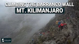 Climbing Kilimanjaro's Barranco Wall: A Firsthand Look at the Thrill & Grit!