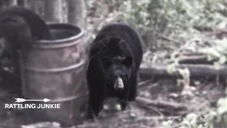 MY FIRST EVER BEAR | RIFLE | Manitoba