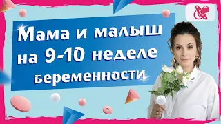 Что происходит с беременной и малышом на 9-10 неделе беременности?