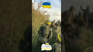 Орки сдаются в плен 🇺🇦