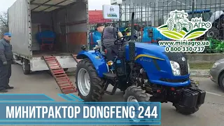 Минитрактор Dongfeng 244