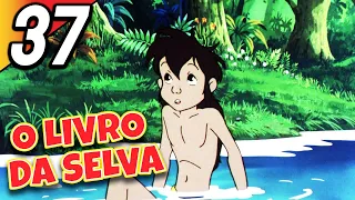 O LIVRO DA SELVA | Episódio 37 | Português | The Jungle Book