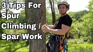 triple tie-in for spar work | Tree Climber Tips For Tree Climbing On Spurs