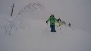 Niseko, Japow