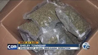 Police bust illegal marijuana grow operation