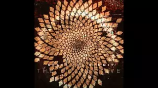 Scale The Summit - The Collective [full album]