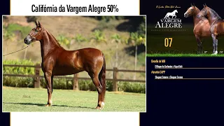 07 Califórnia da Vargem Alegre 50%