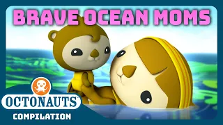 @Octonauts - 🦸‍♀️ BRAVE Ocean Moms  🌊 | 2 Hours+ Full Episodes Marathon | 🧑‍🍼 Mother's Day 🌸