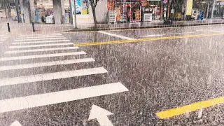 (4K) Walking in Heavy Rain | Streets & Village | Binaural City Sounds | Rain Ambience | S.Korea | 폭우