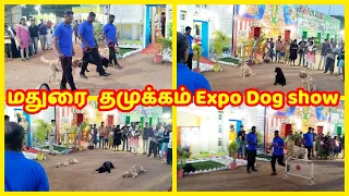 Madurai Tamukkam Exhibition 2024 |Madurai Arasu porutkatchi 2024 Dog Show