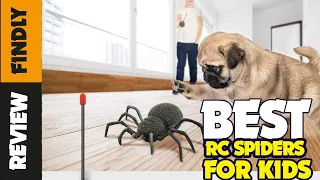 The 5 Best Remote Control Spiders For Kids - Review Findly