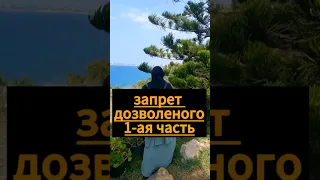 запрет дозволенного тахрим аль-халяль 1-ая часть #пятницамусульманки #тахрим_альхаляль_ая