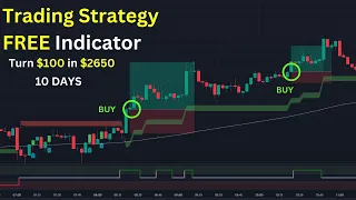TradingView Strategy for Beginner - Easy to Follow with Backtest (100x)