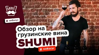 Обзор на грузинские вина Shumi: Tsinandali, Saperavi и Kindzamarauli