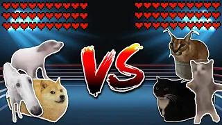 All Dogs vs All Cats! Meme battle