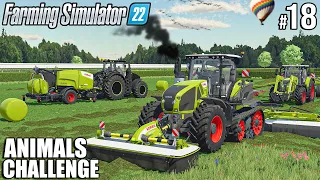 Baling 50 GRASS SILAGE bales with CLAAS TERRA TRACK  | ANIMALS Challenge | Farming Simulator 22