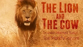 The Lion And The Cow | Shaykh Hamza Yusuf | TheTha