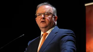 Albanese needs to fight the 'worse wills of his party' and support the government