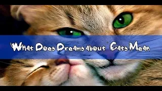 # 23 Cat Dreaming: What Does Dreams about Cats Mean ?