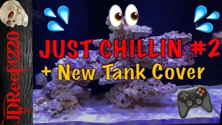 Reef Aquarium - eaReef Pro 900 - Episode 18 - Just Chillin + New Tank Cover