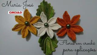 Flores para aplicações em crochê com Maria José