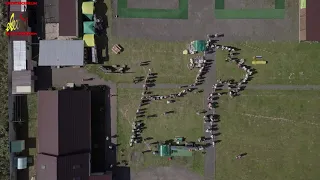 СкоттиСейшн-2020 с квадрокоптера. Фестиваль породы Шотландский (скотч) терьер