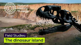 Isle of Wight: the dinosaur island | Field Studies