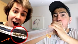 COCKROACH WENT IN HIS MOUTH!! (DANGEROUS)