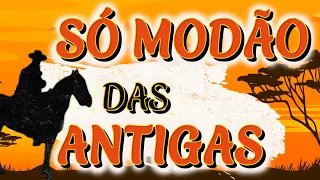 Só Modão De Buteco - As Melhores Sofrencias - Sertanejo Musical - SERTANEJO RAIZ 🏆