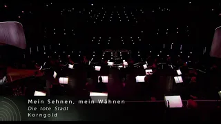 Gihoon Kim-Mein Sehnen, mein wahnen Die tote stadt Korngold