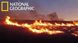 Взгляд изнутри «ОПЕРАЦИЯ "ЛЕСНОЙ ПОЖАР"» National Geographic HD