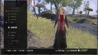 ESO: My Current High Elf Magicka Sorcerer PVE DPS Build, Mother's Sorrow, False God