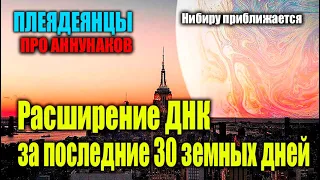 ПЛЕЯДЕЯНЦЫ - ГРАНДИОЗНОЕ ГЛОБАЛЬНОЕ СОБЫТИЕ ПРИМЕРНО 5 НОЯБРЯ#Эра Возрождения