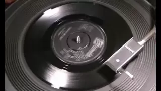 The Trashmen - King Of The Surf - 1963 45rpm