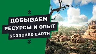 ГАЙД — ГДЕ добывать ресурсы и опыт на карте Scorched Earth (Farming resources on Scorched Earth)