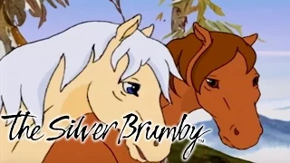 The Silver Brumby - Wombats to the Rescue (HD - Full Episode)