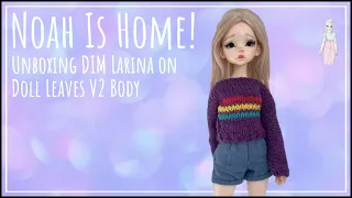 Unboxing Doll In Mind Larina on Doll Leaves Body: Video for Adult BJD Collectors 볼 조인트 인형 상자 개봉 및 검토