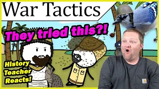 Wacky War Tactics in another Nutshell | BlueJay | History Teacher Reacts