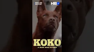 KOKO A RED DOG STORY 2023 | JasonIsaacs , Comédie | ComedyMovie | shorts | dogstory