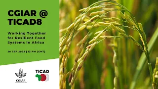 CGIAR @ TICAD8: Working Together for Resilient Food Systems in Africa