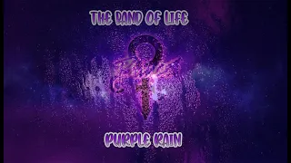 JAYL & THE BAND OF LIFE - Purple Rain