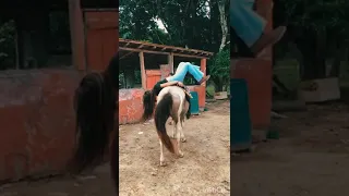 Ana Castela🐎