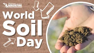Why Healthy Soil is Essential to Our Future - World Soil Day
